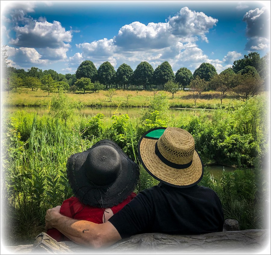 Beautiful Landscape 2019